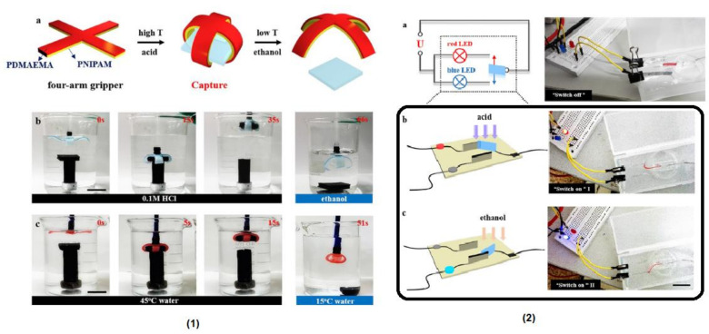 Figure 41