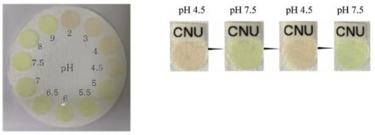 Figure 14