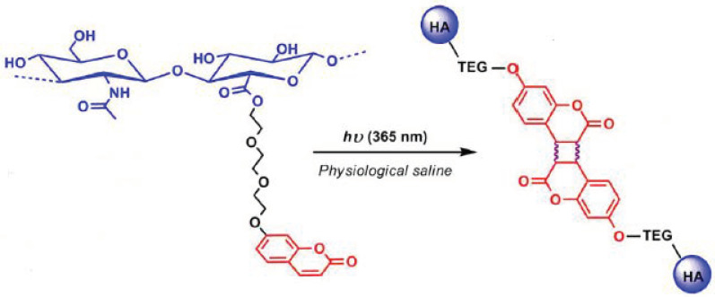 Figure 46