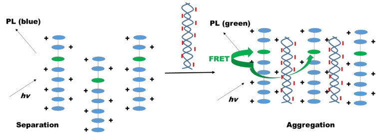 Figure 31