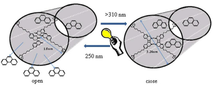 Figure 44