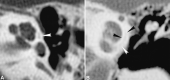 F<sc>ig</sc> 3.