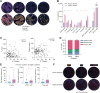 Figure 4. Paired AI-powered H&E and IMC analysis provides spatial integration of tumor and immune classifiers. A, Representative matched pictures of tumor specimens showing collagen I heterogeneity in NSCLC (top) and the tissue segmentations resulting from the machine learning pixel classifier (bottom). B, Quantification of stromal, immune, tumor, and other cell clusters as the absolute cell number per mm2 from poorly fibrotic or highly fibrotic NSCLC tumors. Bars represent the mean ± SEM. C, Correlation between the percentage of tissue area positive for the collagen I and the K score (r = −0.013; P = ns by Pearson correlation; left) or the cluster's radius (r = −0.061; P = ns by Pearson correlation; right) in 116 NSCLC specimens. D, Bar plots showing the relative proportion of tumor, stromal, and immune cells in specimens classified as poorly (n = 86) or highly clustered (n = 28) according to the K score. E, Quantification of B cells, CD8+ T cells, and regulatory T (Treg) cells as the absolute cell number per mm2 from the stromal region of NSCLC specimens classified as poorly or highly clustered. F, Representative pictures of the preferential localization of adaptive cells in poorly clustered or highly clustered samples. *, P < 0.05; **, P < 0.01; ***, P < 0.001; and n.s., not significant, by Mann–Whitney test.