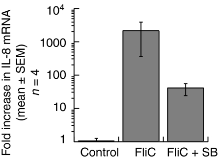 Figure 8