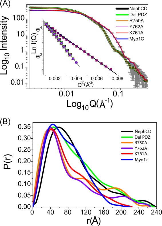 FIG 3