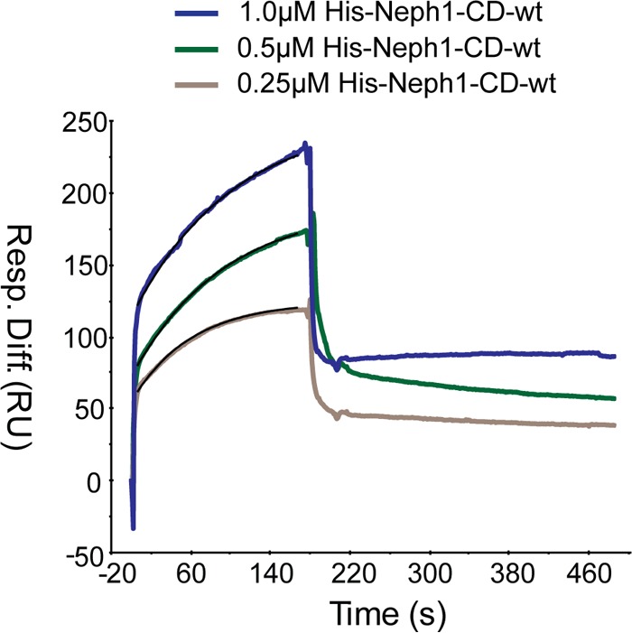 FIG 1