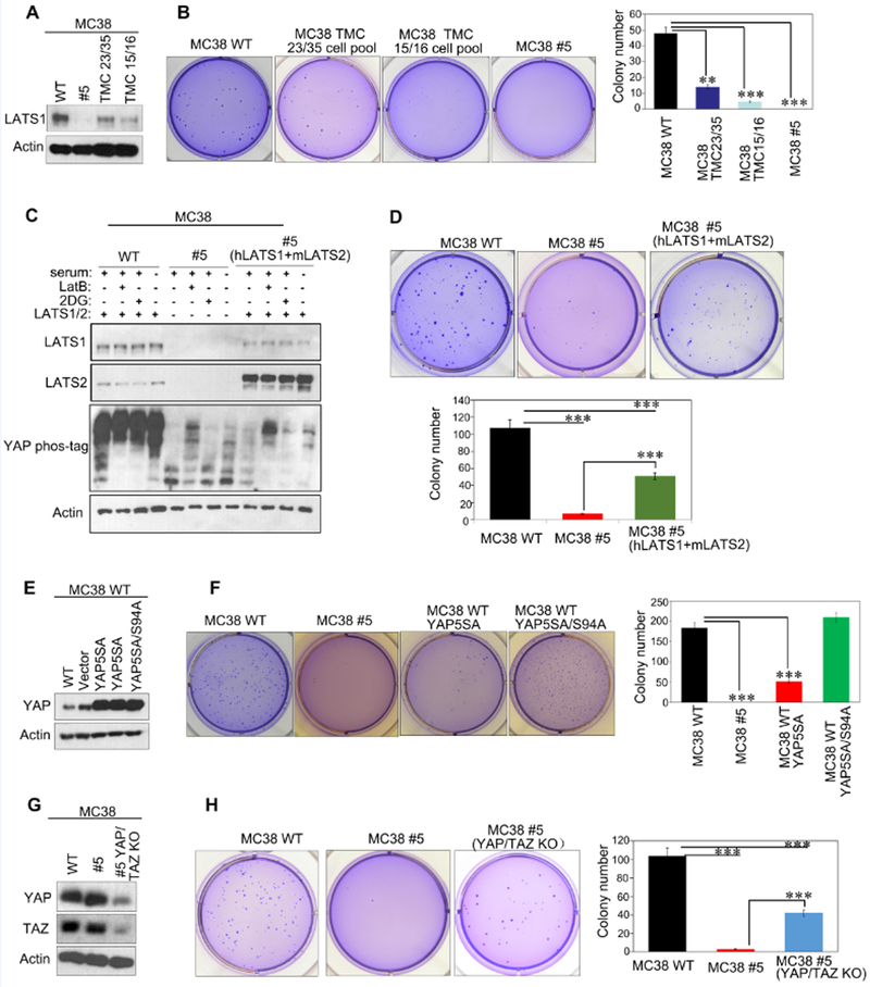 Fig 4.