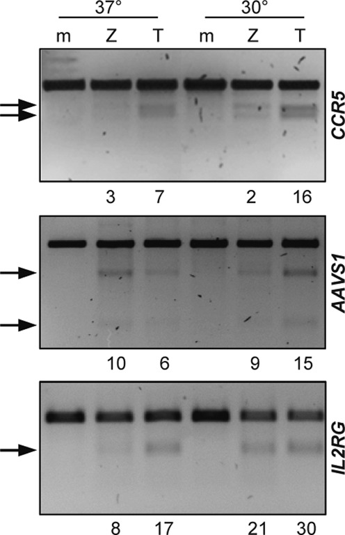 Figure 2.