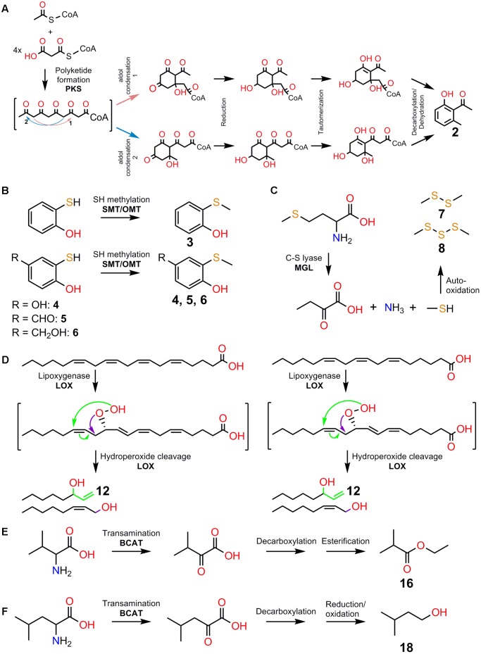 FIGURE 2