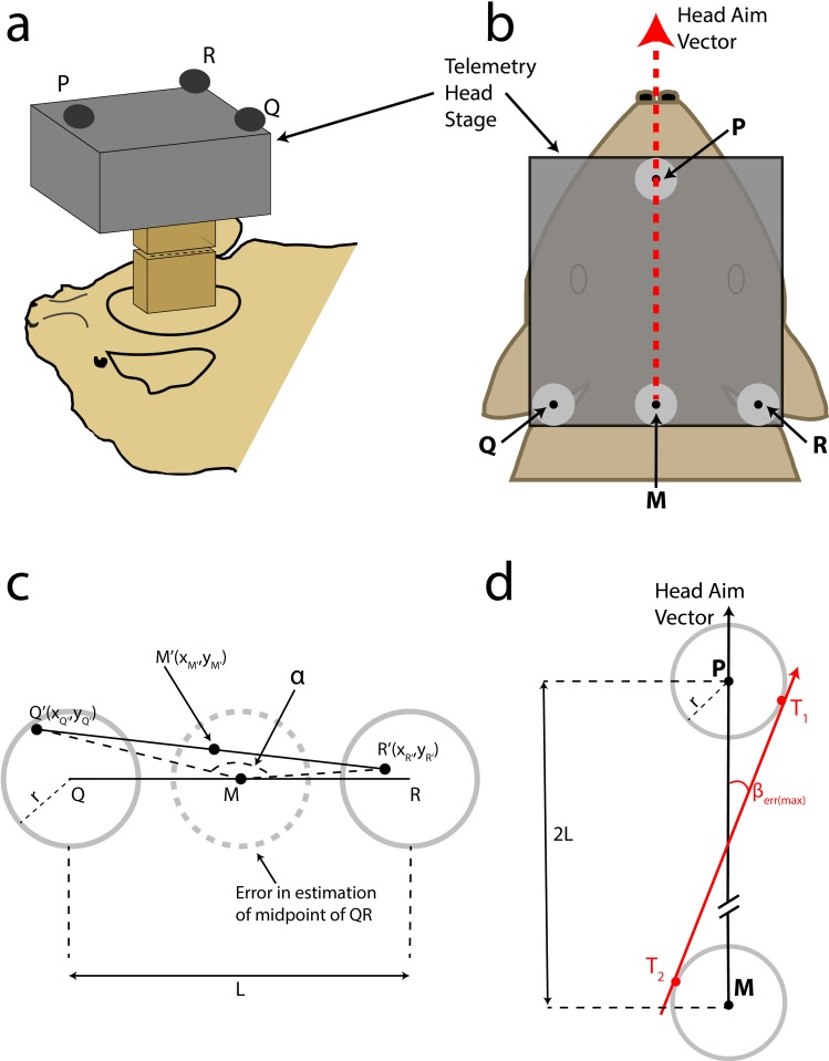 Figure 2—figure supplement 1.