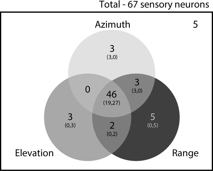 Figure 4—figure supplement 3.