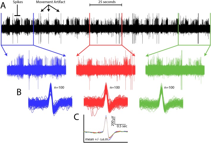 Figure 1—figure supplement 2.