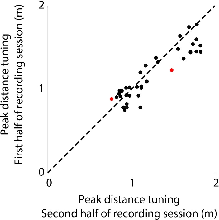 Figure 4—figure supplement 1.