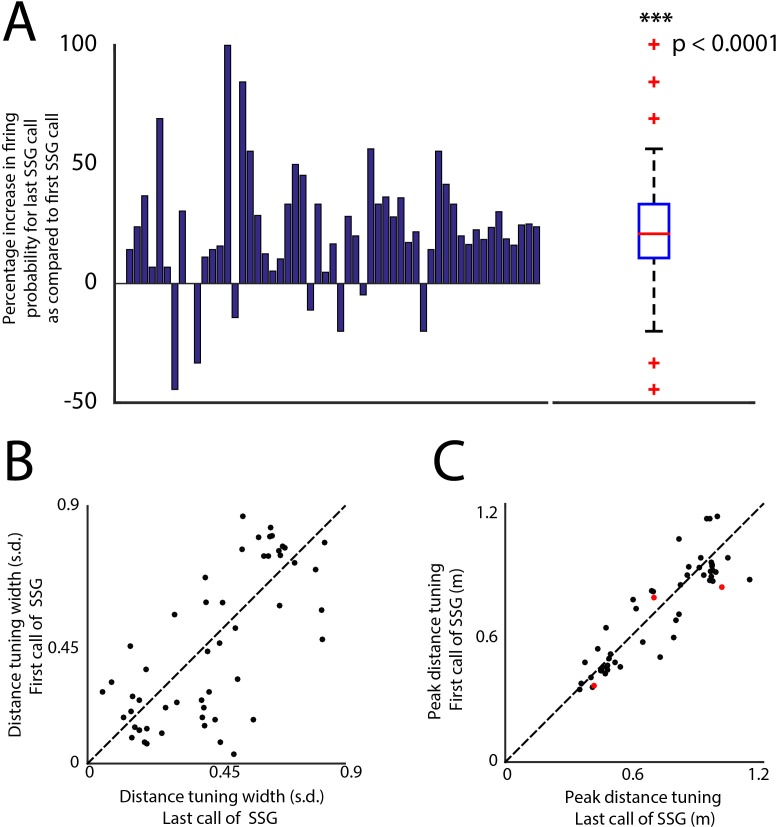 Figure 5—figure supplement 1.