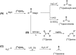 Scheme 6