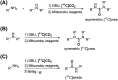 Scheme 10