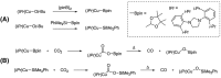 Scheme 20