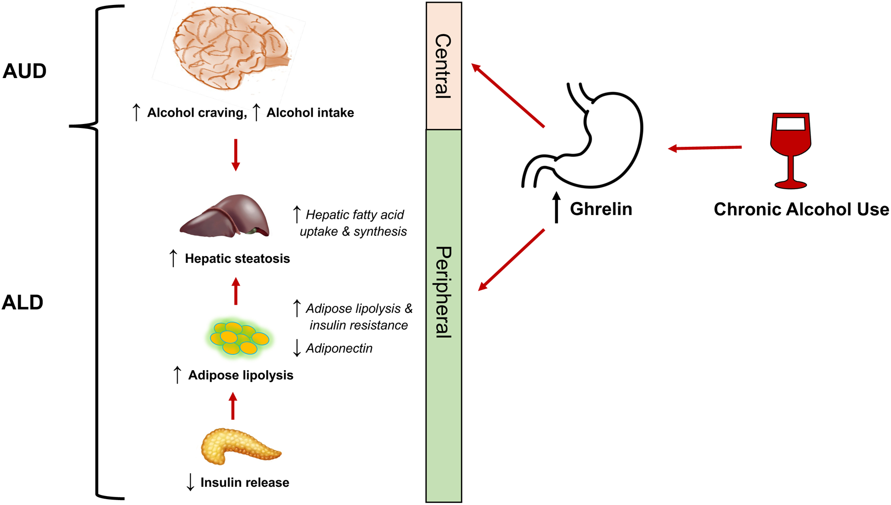 Figure 1: