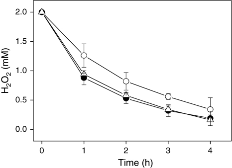 Fig. 4