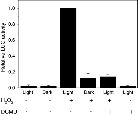 Fig. 3