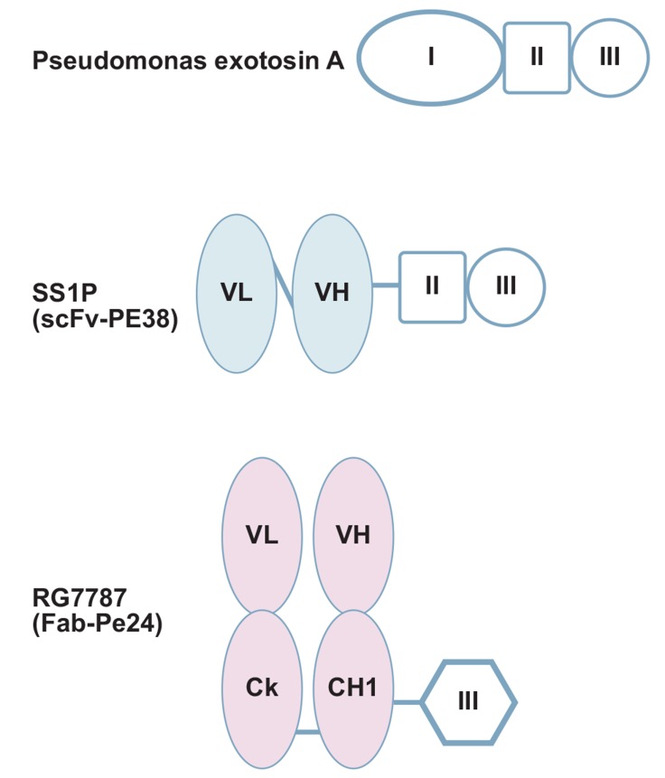 Fig. (2)