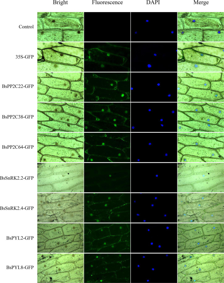 FIGURE 6