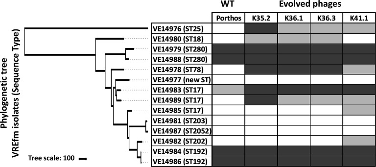 Fig 6