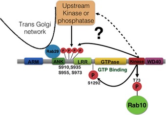 Figure 10