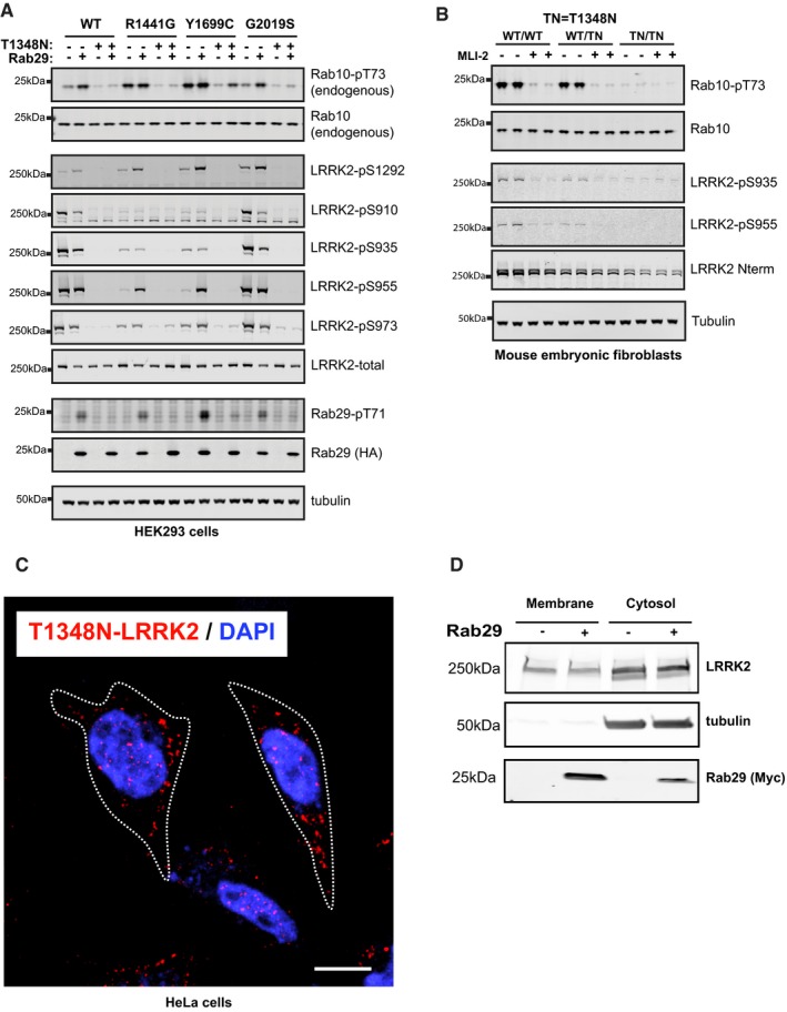 Figure 9