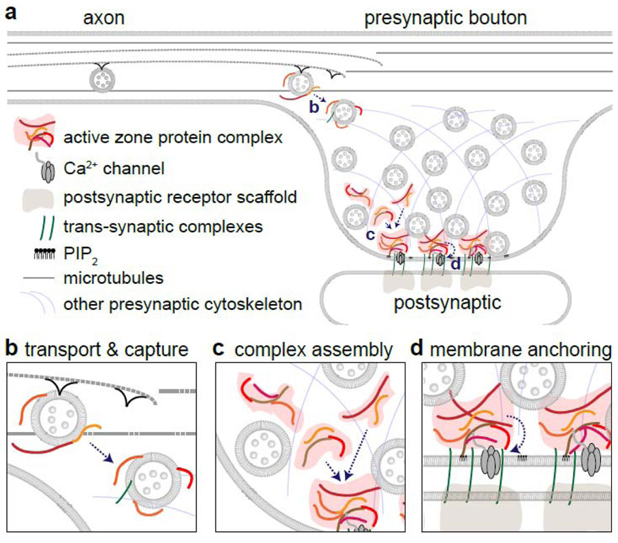 Figure 2: