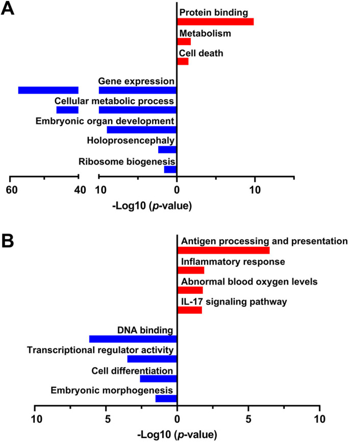 Fig. 6.