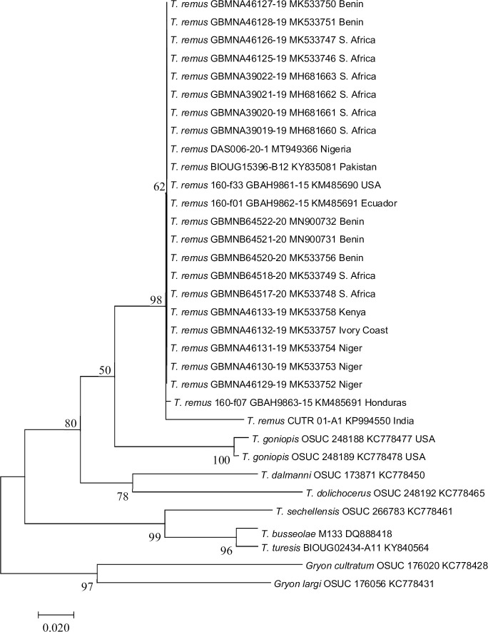 Fig 2