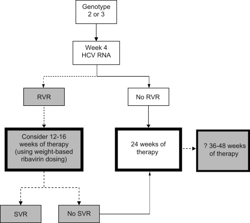 Figure 3)