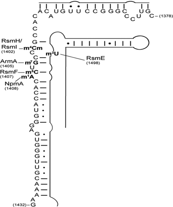 FIGURE 1.