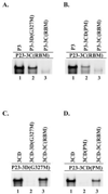 Fig.10