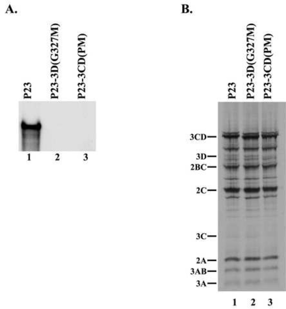 Fig.3