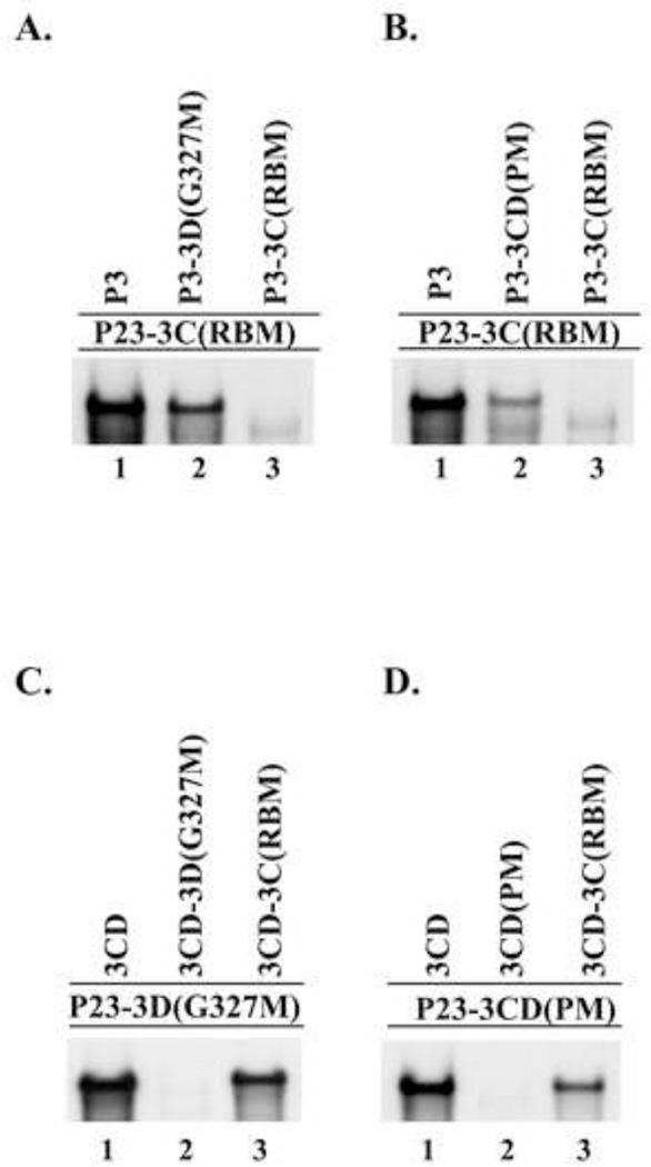 Fig.10