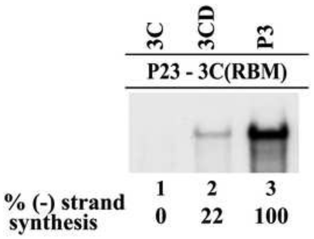 Fig.7