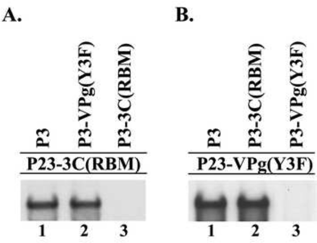 Fig.11