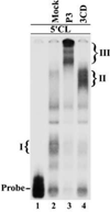 Fig.8
