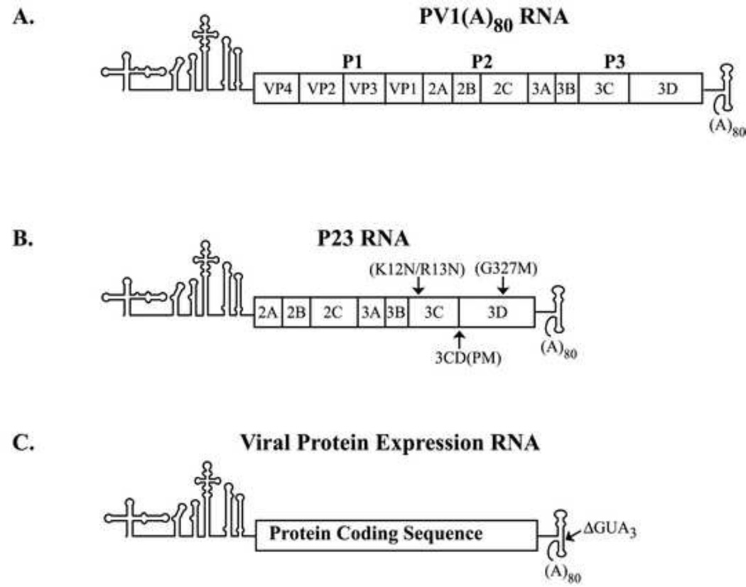 Fig.2