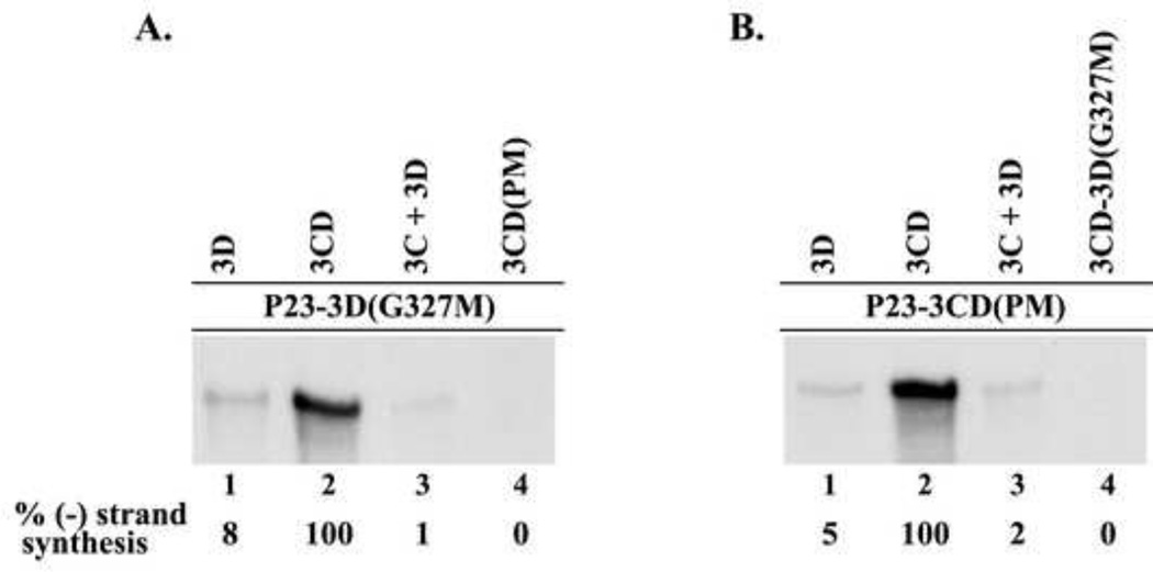 Fig.5