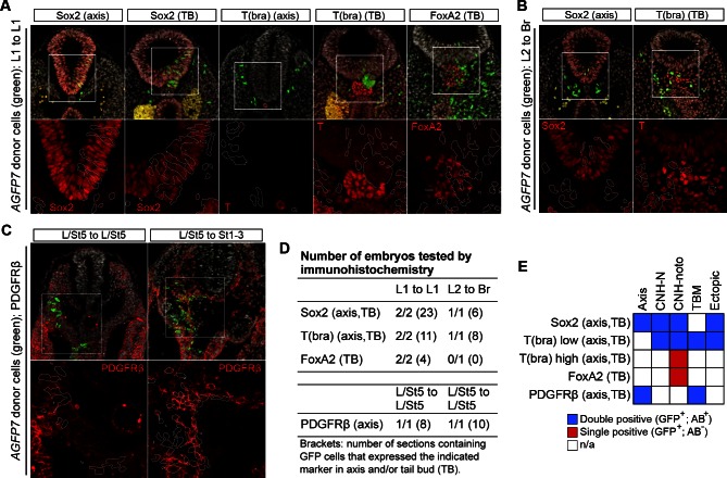 Figure 6—figure supplement 3.