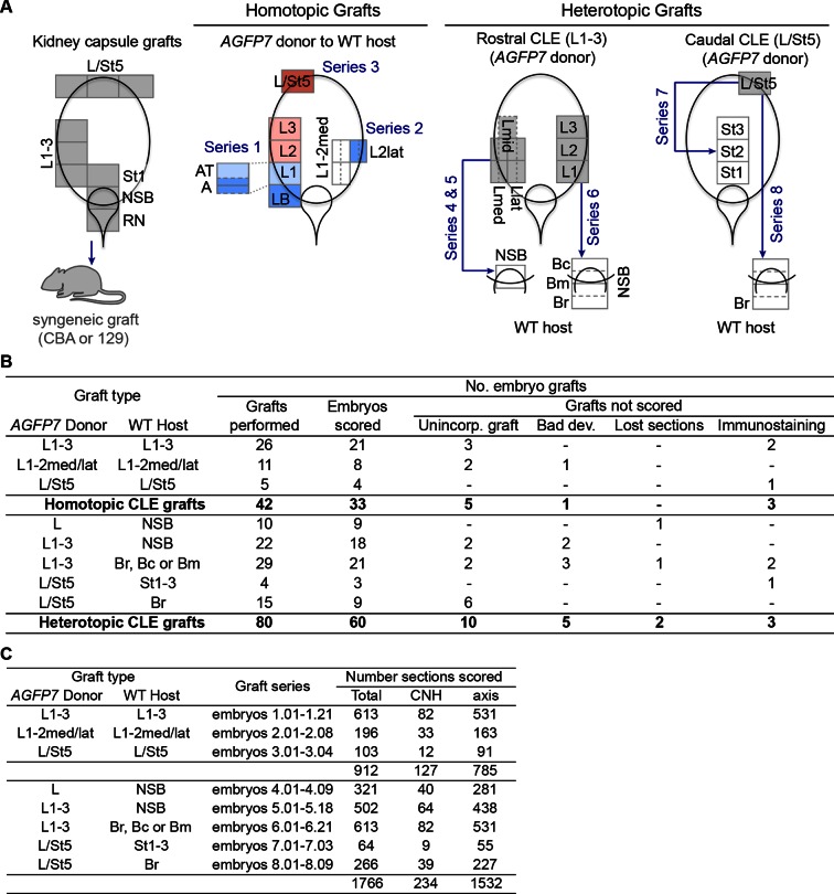 Figure 6—figure supplement 2.