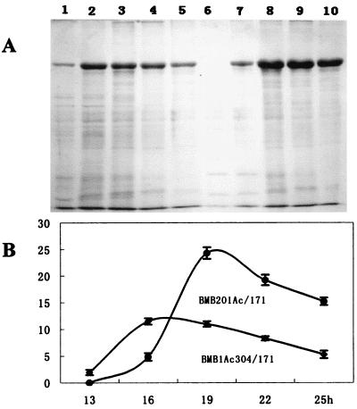 FIG. 5