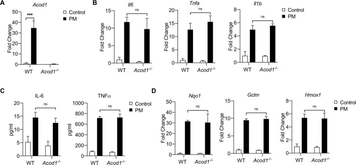 Figure 10—figure supplement 1.