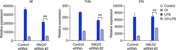 Figure 9—figure supplement 1.