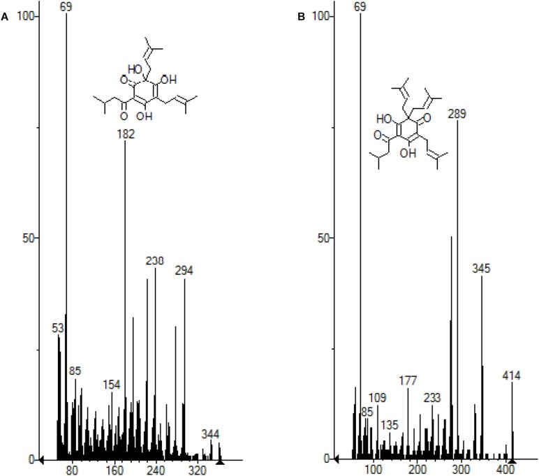 FIGURE 7