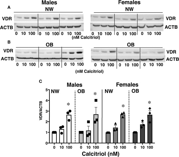 Figure 3