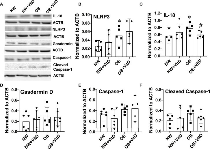 Figure 5